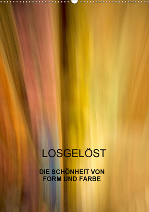 Losgelöst (Wandkalender 2020 DIN A2 hoch) von Praher,  Kurt