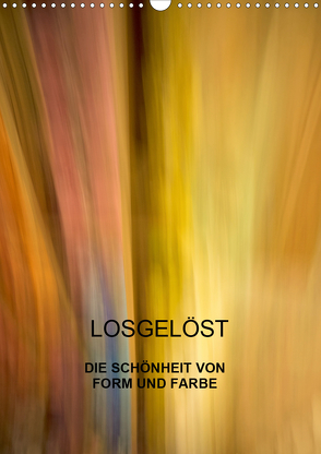 Losgelöst (Wandkalender 2020 DIN A3 hoch) von Praher,  Kurt