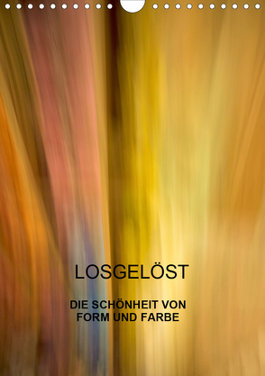 Losgelöst (Wandkalender 2020 DIN A4 hoch) von Praher,  Kurt