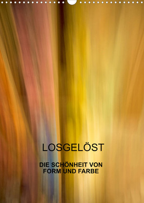 Losgelöst (Wandkalender 2022 DIN A3 hoch) von Praher,  Kurt