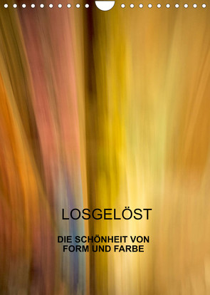 Losgelöst (Wandkalender 2022 DIN A4 hoch) von Praher,  Kurt