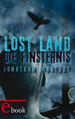 Lost Land 3: Lost Land von Fritz,  Franca, Koop,  Heinrich, Maberry,  Jonathan, Steinhöfel,  Dirk