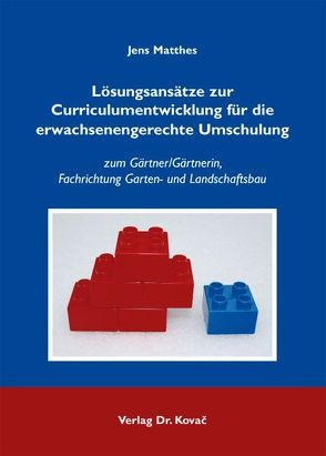 Lösungsansätze zur Curriculumentwicklung für die erwachsenengerechte Umschulung von Matthes,  Jens