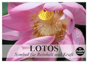 Lotos. Symbol für Reinheit und Kraft (Wandkalender 2024 DIN A2 quer), CALVENDO Monatskalender von Stanzer,  Elisabeth