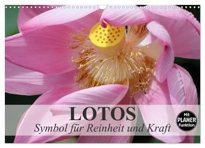 Lotos. Symbol für Reinheit und Kraft (Wandkalender 2024 DIN A3 quer), CALVENDO Monatskalender von Stanzer,  Elisabeth