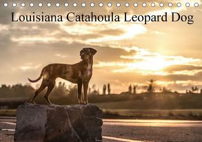 Louisiana Catahoula Leopard Dog 2018 (Tischkalender 2018 DIN A5 quer) von on Tour,  Catahouligan