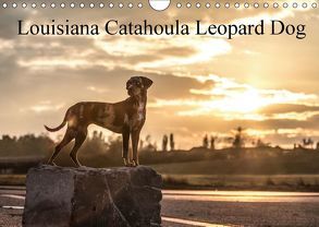 Louisiana Catahoula Leopard Dog 2018 (Wandkalender 2018 DIN A4 quer) von on Tour,  Catahouligan