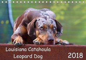 Louisiana Catahoula Leopard Dog (Tischkalender 2018 DIN A5 quer) von Mikulla,  Sarah