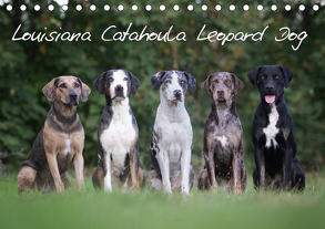 Lousiana Catahoula Leopard (Tischkalender 2019 DIN A5 quer) von on Tour,  Catahouligan