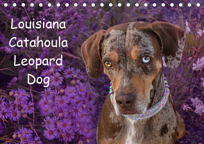 Lousiana Catahoula Leopard (Tischkalender 2020 DIN A5 quer) von on Tour,  Catahouligan