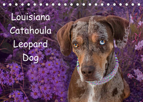 Lousiana Catahoula Leopard (Tischkalender 2022 DIN A5 quer) von on Tour,  Catahouligan