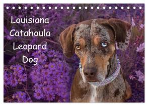 Lousiana Catahoula Leopard (Tischkalender 2024 DIN A5 quer), CALVENDO Monatskalender von on Tour,  Catahouligan