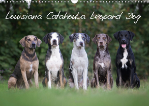 Lousiana Catahoula Leopard (Wandkalender 2019 DIN A3 quer) von on Tour,  Catahouligan