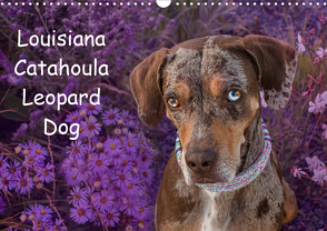 Lousiana Catahoula Leopard (Wandkalender 2020 DIN A3 quer) von on Tour,  Catahouligan