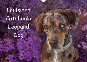 Lousiana Catahoula Leopard (Wandkalender 2022 DIN A3 quer) von on Tour,  Catahouligan