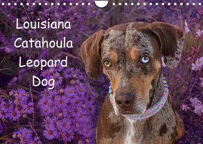 Lousiana Catahoula Leopard (Wandkalender 2022 DIN A4 quer) von on Tour,  Catahouligan