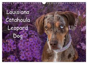 Lousiana Catahoula Leopard (Wandkalender 2024 DIN A3 quer), CALVENDO Monatskalender von on Tour,  Catahouligan