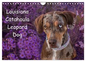 Lousiana Catahoula Leopard (Wandkalender 2024 DIN A4 quer), CALVENDO Monatskalender von on Tour,  Catahouligan