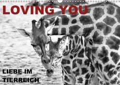 LOVING YOU – Liebe im Tierreich (Wandkalender 2018 DIN A3 quer) von Düll,  Sigrun