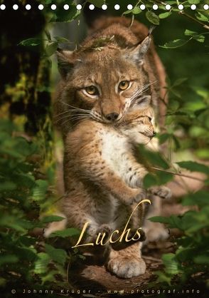 Luchs (Tischkalender 2018 DIN A5 hoch) von Krüger,  Johnny