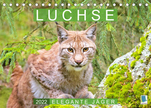 Luchse: Elegante Jäger (Tischkalender 2022 DIN A5 quer) von CALVENDO