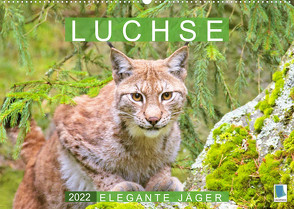 Luchse: Elegante Jäger (Wandkalender 2022 DIN A2 quer) von CALVENDO