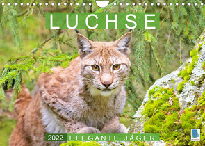 Luchse: Elegante Jäger (Wandkalender 2022 DIN A4 quer) von CALVENDO