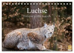 Luchse – Europas größte Katzen (Tischkalender 2024 DIN A5 quer), CALVENDO Monatskalender von Cloudtail,  Cloudtail