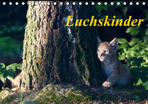 Luchskinder (Tischkalender 2021 DIN A5 quer) von Martin,  Wilfried