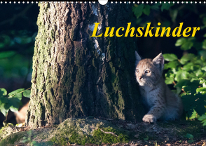 Luchskinder (Wandkalender 2021 DIN A3 quer) von Martin,  Wilfried