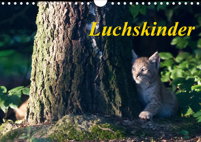 Luchskinder (Wandkalender 2021 DIN A4 quer) von Martin,  Wilfried