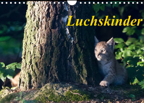 Luchskinder (Wandkalender 2022 DIN A4 quer) von Martin,  Wilfried