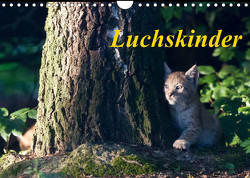 Luchskinder (Wandkalender 2023 DIN A4 quer) von Martin,  Wilfried