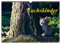 Luchskinder (Wandkalender 2024 DIN A3 quer), CALVENDO Monatskalender von Martin,  Wilfried