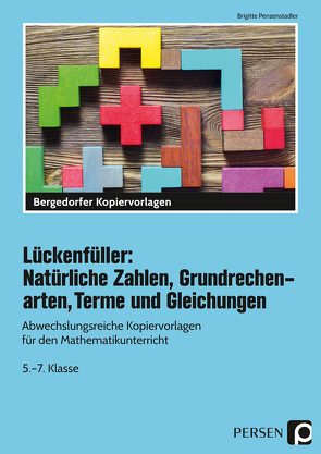 Lückenfüller: Nat. Zahlen, Grundrechenarten, Terme von Penzenstadler,  Brigitte