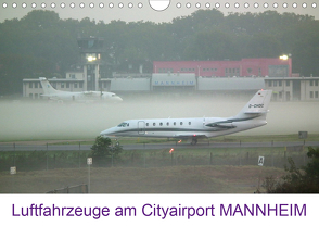 Luftfahrzeuge am Cityairport MANNHEIM (Wandkalender 2020 DIN A4 quer) von Melchert,  Michael