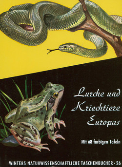 Lurche und Kriechtiere Europas von Hellmich,  Walter