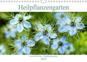 Lust auf NaTour – Heilpflanzengarten (Wandkalender 2019 DIN A4 quer) von Riedmiller,  Andreas