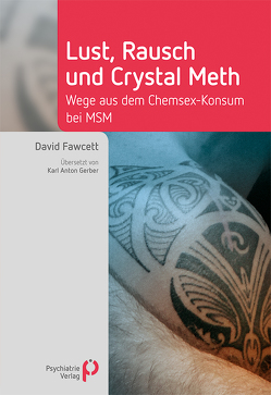 Lust, Rausch und Crystal Meth von Fawcett,  David, Gerber,  Karl Anton