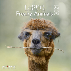 Lustig – Freaky Animals 2021 – Wand-Kalender – Broschüren-Kalender – A&I -30×30 – 30×60 geöffnet