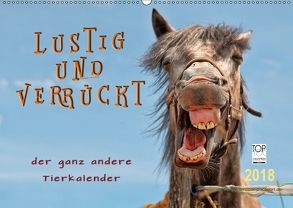 Lustig und verrückt – der ganz andere Tierkalender (Wandkalender 2018 DIN A2 quer) von Roder,  Peter