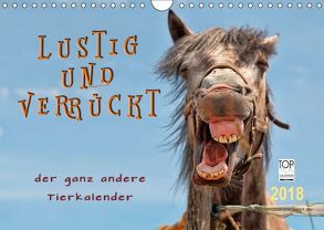 Lustig und verrückt – der ganz andere Tierkalender (Wandkalender 2018 DIN A4 quer) von Roder,  Peter