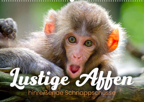 Lustige Affen – hinreißende Schnappschüsse (Wandkalender 2024 DIN A2 quer), CALVENDO Monatskalender von Monkey,  Happy