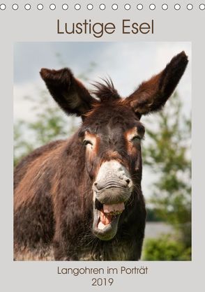 Lustige Esel – Langohren im Porträt (Tischkalender 2019 DIN A5 hoch) von Bölts,  Meike