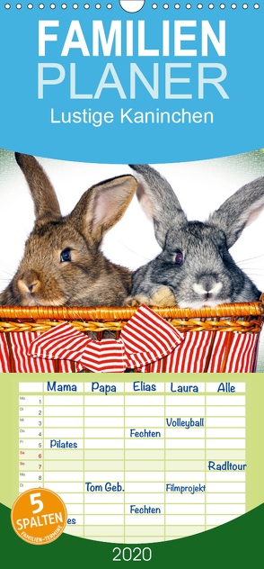 Lustige Kaninchen – Familienplaner hoch (Wandkalender 2020 , 21 cm x 45 cm, hoch) von www.eugenfoto.eu