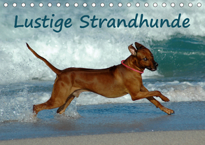 Lustige Strandhunde (Tischkalender 2020 DIN A5 quer) von van Wyk - www.germanpix.net,  Anke