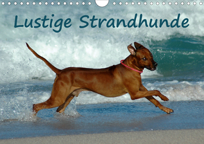 Lustige Strandhunde (Wandkalender 2020 DIN A4 quer) von van Wyk - www.germanpix.net,  Anke