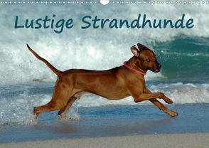 Lustige Strandhunde (Wandkalender 2021 DIN A3 quer) von van Wyk - www.germanpix.net,  Anke