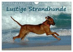 Lustige Strandhunde (Wandkalender 2024 DIN A4 quer), CALVENDO Monatskalender von van Wyk - www.germanpix.net,  Anke