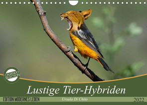 Lustige Tier-Hybriden (Wandkalender 2022 DIN A4 quer) von Di Chito,  Ursula